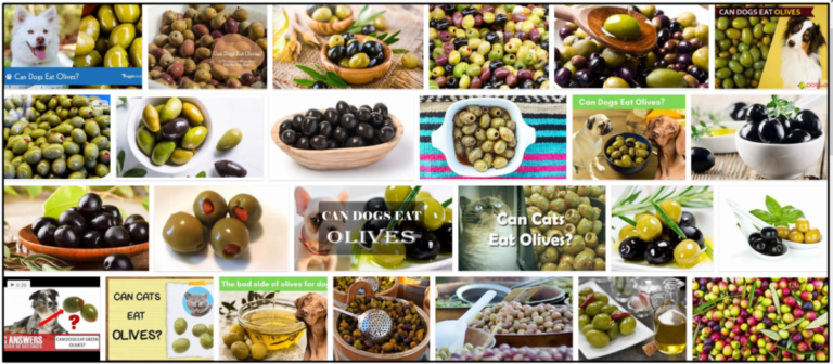 14-Can-Dogs-Eat-Green-Olives-768x336 Can Dogs Eat Green Olives? Powerful Habits To Master For Feeding Them ** New  