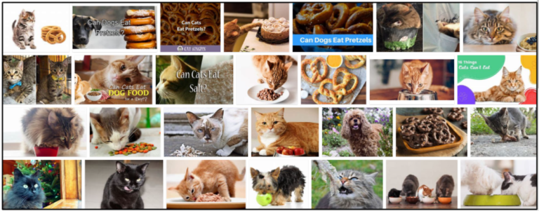 16-Can-Cats-Eat-Pretzels-768x301 Can Cats Eat Pretzels? A Great Source To Read Before You Feed ** New  