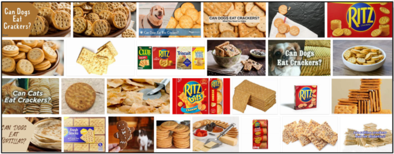 16-Can-Dogs-Eat-Ritz-Crackers-768x300 Can Dogs Eat Ritz Crackers? Answers To All Of Your Questions For A Healthy Diet ** New  