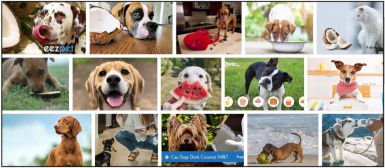 30-Can-Dogs-Eat-Coconut-Milk-768x336 Can Dogs Eat Coconut Milk? Powerful Habits To Master For Feeding Them ** New  
