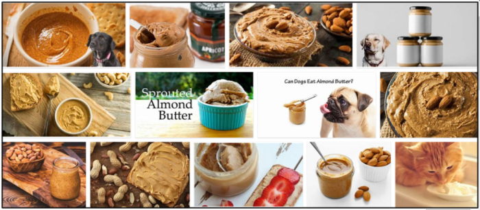 Can-Cats-Eat-Almond-Butter-700x307 Can Cats Eat Almond Butter? Amazing Reasons To Learn About It ** New  