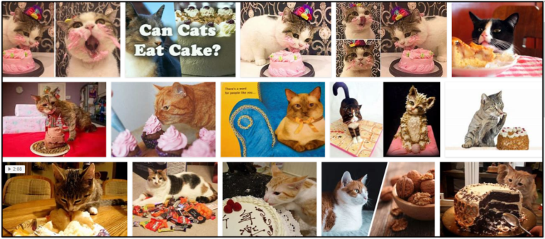 Can-Cats-Eat-Cake-768x337 Can Cats Eat Cake? The Best Approach For A Healthy Diet ** New  