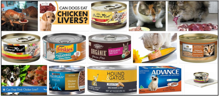 Can-Cats-Eat-Chicken-Liver-700x307 Can Cats Eat Chicken Liver? The Best Approach For A Healthy Diet ** New 