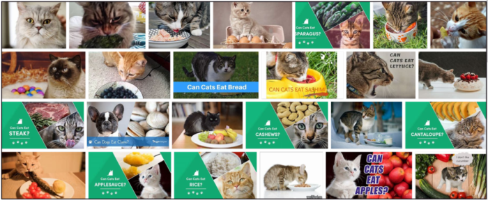 Can-Cats-Eat-Clams-700x287 Can Cats Eat Clams? A Fascinating Behind-The-Scenes Look At It ** New  