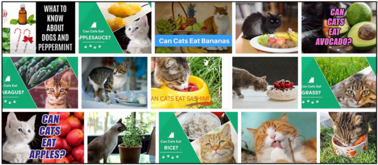 Can-Cats-Eat-Peppermint-768x337 Can Cats Eat Peppermint? Powerful Habits To Master For Feeding Them ** New  