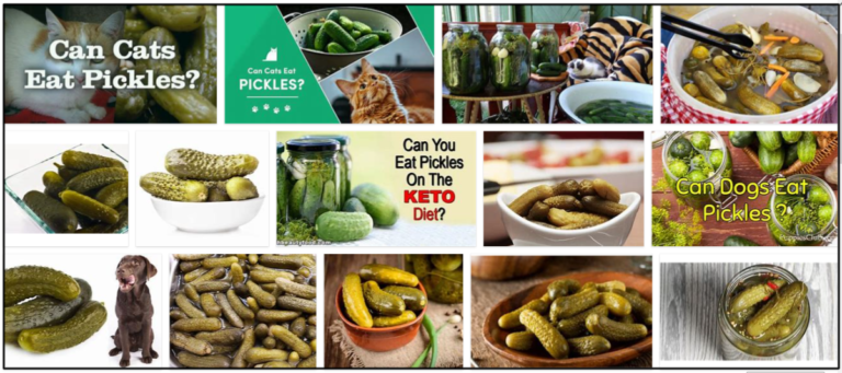 Can-Cats-Eat-Pickles-768x341 Can Cats Eat Pickles? Do They Even Like It Or Not ** New  
