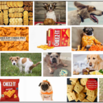 Can-Dogs-Eat-Cheez-Its-150x150 Can Dogs Eat Fig Newtons? Read The Best Way To Feed Your Friend ** New  