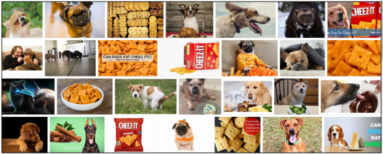 Can-Dogs-Eat-Cheez-Its-768x310 Can Dogs Eat Cheez Its? Everything You Need To Know ** New  