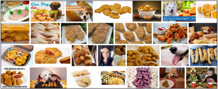 Can-Dogs-Eat-Chicken-Nuggets-700x288 Can Dogs Eat Chicken Nuggets? Important Tips For Your Pet's Diet ** New  
