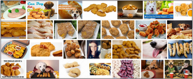 Can-Dogs-Eat-Chicken-Nuggets-768x316 Can Dogs Eat Chicken Nuggets? Important Tips For Your Pet's Diet ** New  