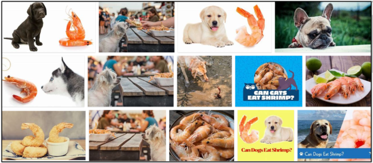 Can-Dogs-Eat-Cooked-Shrimp-768x337 Can Dogs Eat Cooked Shrimp? How To Feed Your Friend Safely ** New  