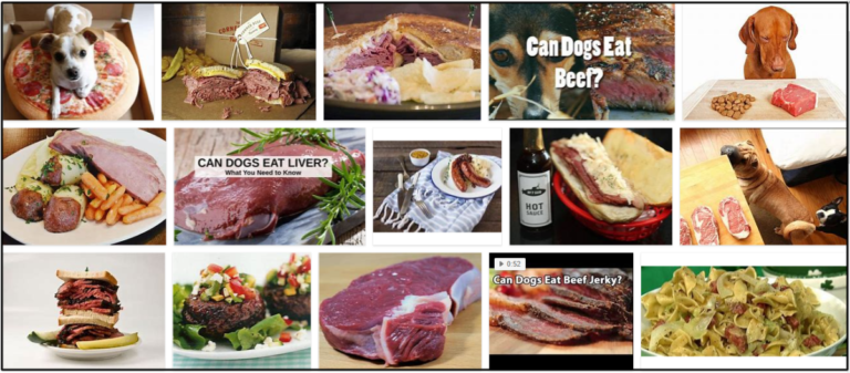 Can-Dogs-Eat-Corned-Beef-768x337 Can Dogs Eat Corned Beef? Important Tips For Your Pet's Diet ** New  
