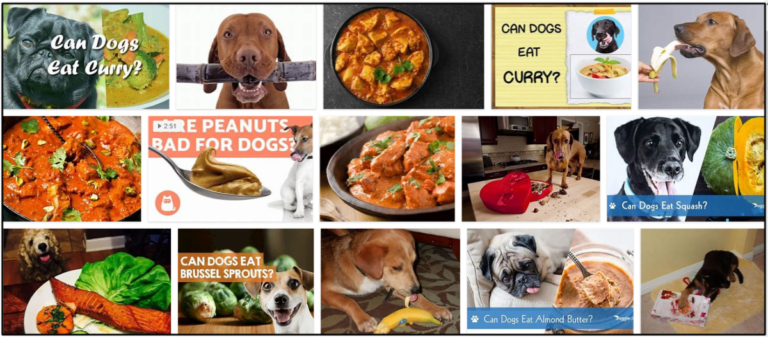 Can-Dogs-Eat-Curry-768x337 Can Dogs Eat Curry? Find Out The Truth Now ** New  