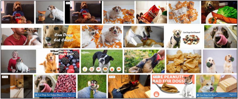 Can-Dogs-Eat-Doritos-768x320 Can Dogs Eat Doritos? How To Feed Your Friend Safely ** New  
