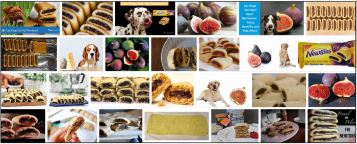 Can-Dogs-Eat-Fig-Newtons-700x283 Can Dogs Eat Fig Newtons? Read The Best Way To Feed Your Friend ** New  