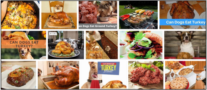 Can-Dogs-Eat-Ground-Turkey-700x306 Can Dogs Eat Ground Turkey? A Sourceful Guide To Read About ** New  