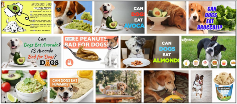 Can-Dogs-Eat-Guacamole-768x337 Can Dogs Eat Guacamole? How To Avoid A Possible Malnutrition ** New  