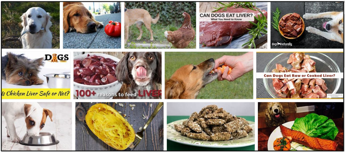 Can Dogs Eat Liver? Don't Feed Them Before You Read It ** New - Can