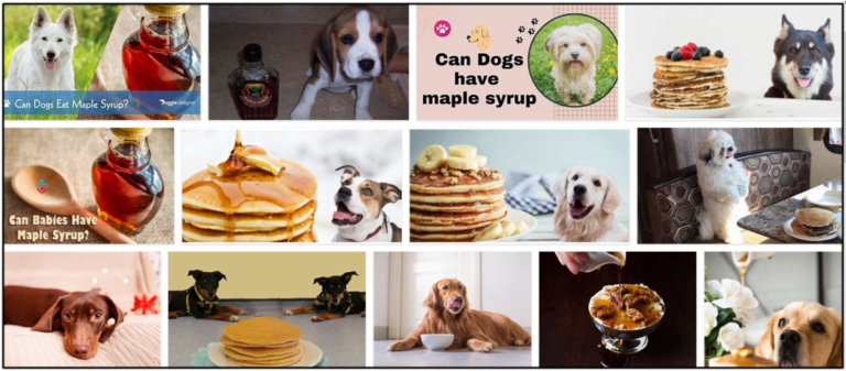 Can-Dogs-Eat-Maple-Syrup-768x337 Can Dogs Eat Maple Syrup? Is It Good For Them Or Not ** New  