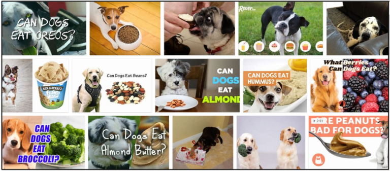 Can-Dogs-Eat-Oreos-768x337 Can Dogs Eat Oreos? A Great Source To Read Before You Feed ** New  