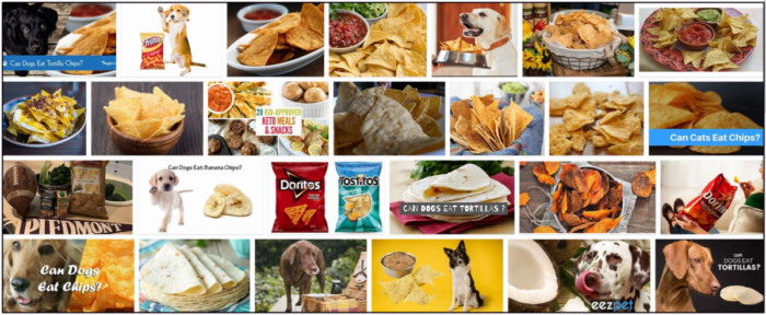 Can-Dogs-Eat-Tortilla-Chips-700x288 Can Dogs Eat Tortilla Chips? The Rules You Should Know About ** New  