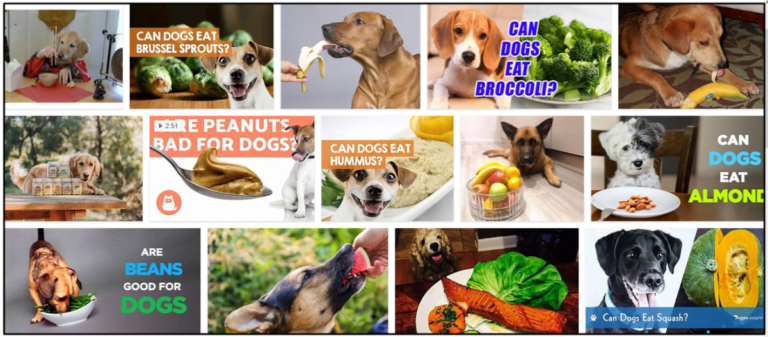 Can-Dogs-Eat-Wasabi-768x337 Can Dogs Eat Wasabi? Answers To All Of Your Questions For A Healthy Diet ** New  