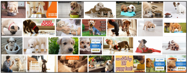 01-Can-Adult-Dogs-Eat-Puppy-Food-768x301 Can Adult Dogs Eat Puppy Food? Find Out The Truth Now ** New  