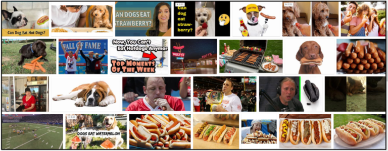 03-Can-Dogs-Eat-Hotdogs-768x300 Can Dogs Eat Hotdogs? The Rules You Should Know About ** New  