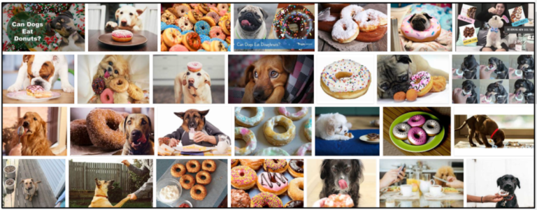 05-Can-Dogs-Eat-Donuts-768x301 Can Dogs Eat Donuts? A Sourceful Guide To Read About ** New  