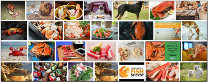 07-Can-Dogs-Eat-Imitation-Crab-700x277 Can Dogs Eat Imitation Crab? Take A Look At Our Expert Advice ** New  