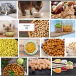 Can-Cats-Eat-Garbanzo-Beans-150x150 Can Dogs Eat Barley? Don’t Feed Them Before You Read It ** New  