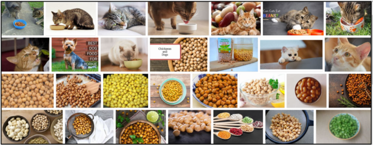Can-Cats-Eat-Garbanzo-Beans-768x300 Can Cats Eat Garbanzo Beans? Amazing Reasons To Learn About It ** New  