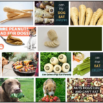 Can-Dogs-Eat-Parsnips-150x150 Can Cats Eat Chestnuts? The Best Approach To Feed Your Friend ** New 