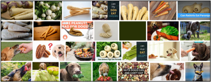 Can-Dogs-Eat-Parsnips-700x274 Can Dogs Eat Parsnips? A Fascinating Behind-The-Scenes Look At It ** New  