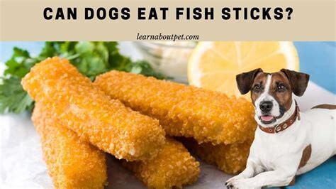 1692266468 Can Dogs Eat Fish Sticks  